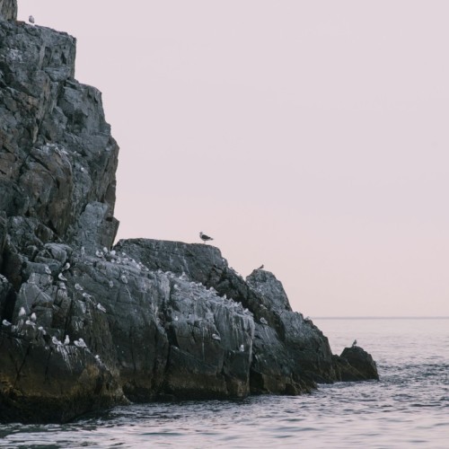 VIP-круиз с экспертами и музыкантами от Камчатки до Чукотки (всё включено)