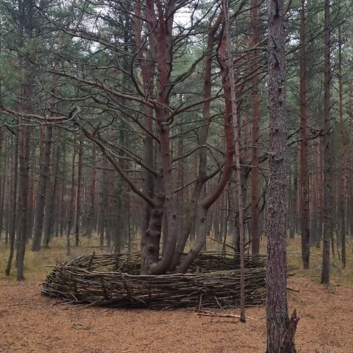 Отпуск у Балтийского моря: Зеленоградск и топовые места области