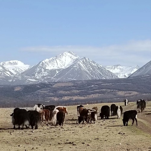 Приключение в Монголии: восхождение на высочайшую вершину Саян (из Иркутска)