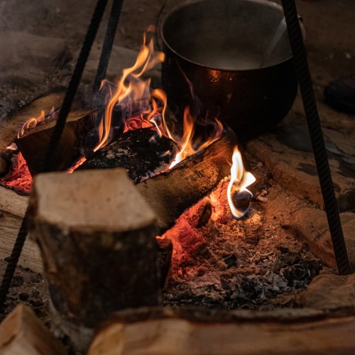 Прогулка на лошадях и визит к северным оленям