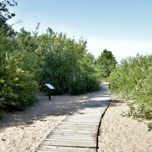 Из Петербурга в Кронштадт: поездка с краеведом в город-крепость