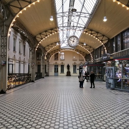 Пешком по Петербургу: полное погружение