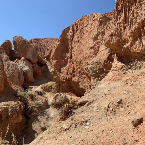 В роли кочевника на Алтае: обряды, сакральные места и дегустации традиционных блюд