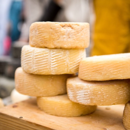 На «Фестиваль сыра», к лосям и на праздник Ивана Купалы: автобусный мини-тур в Кострому и Плёс