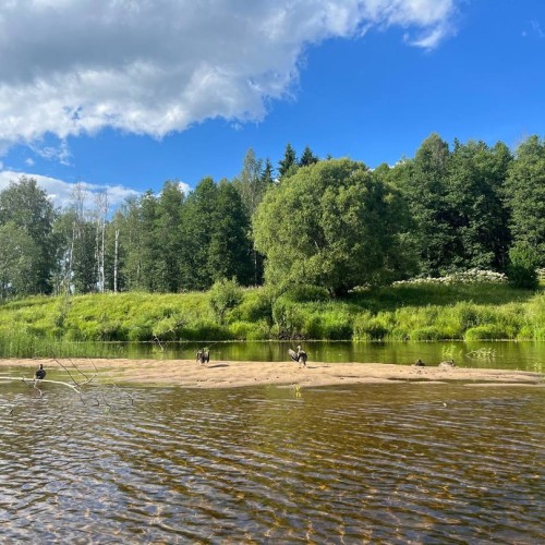 Подальше в лес: сплав на байдарках по реке Медведице