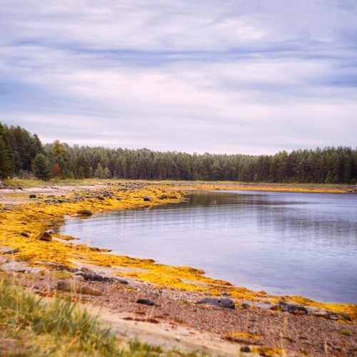 Край света в кадре: индивидуальное фотопутешествие по Терскому берегу с экскурсиями