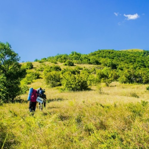 Запах разнотравья и никого вокруг: поход с рюкзаками по долине реки Пшада (всё включено)