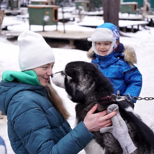 Из Петербурга на север: к финскому хутору и Арктической деревне