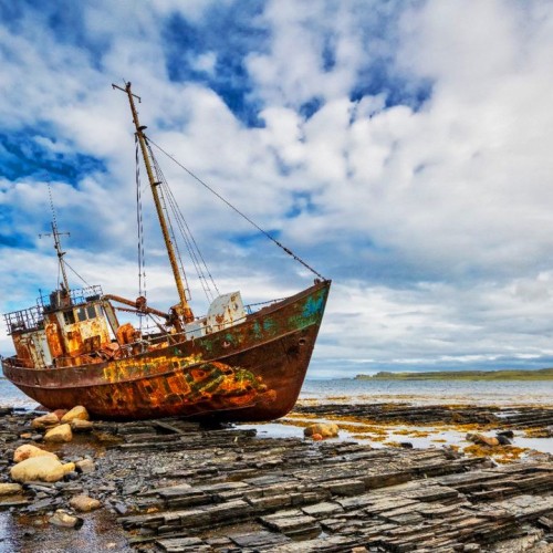 Заповедная территория: к океану на гигантской машине с проживанием в кемпинге