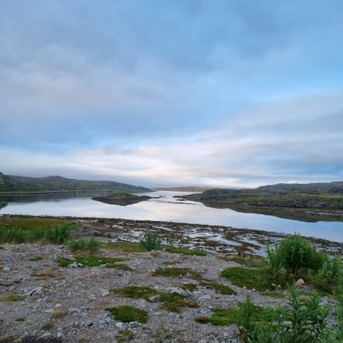 Рыбалка в тундре с ночёвками в палатках: ловим красную рыбу в озере, море или на сопках