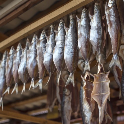 С семьёй на Байкал: знакомство с Листвянкой, этнографический музей и время на отдых