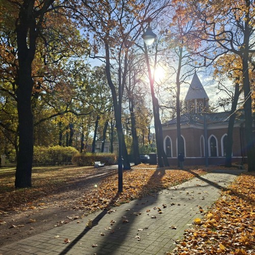 Каменный — остров сокровищ: прогулка по элитному дачному предместью