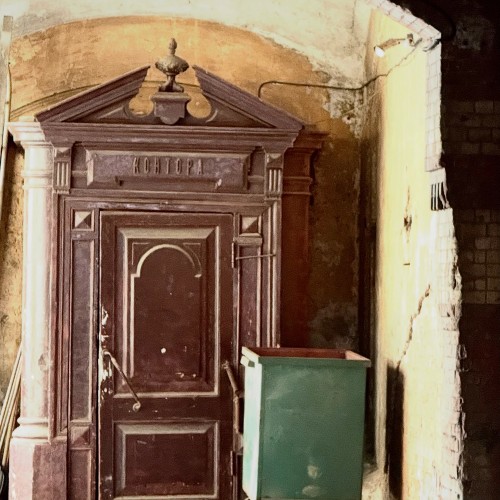 По Васильевскому с островитянином!