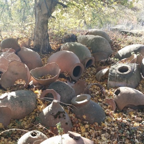 На внедорожниках по неизведанной Южной Осетии: горы, старинные святыни и невероятные виды