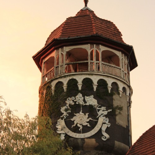 Замки, море и хомлины — лучшие места Калининградской области и дегустация на семейной сыроварне