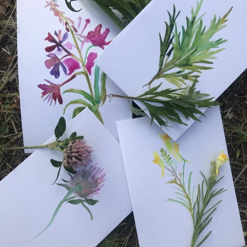 Живописный пленэр в Новой Голландии