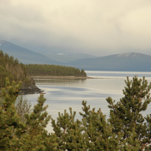 Кандалакшский лабиринт