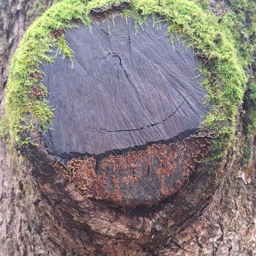 Поход-перезагрузка среди дикой природы Карелии в мини-группе (из Санкт-Петербурга)