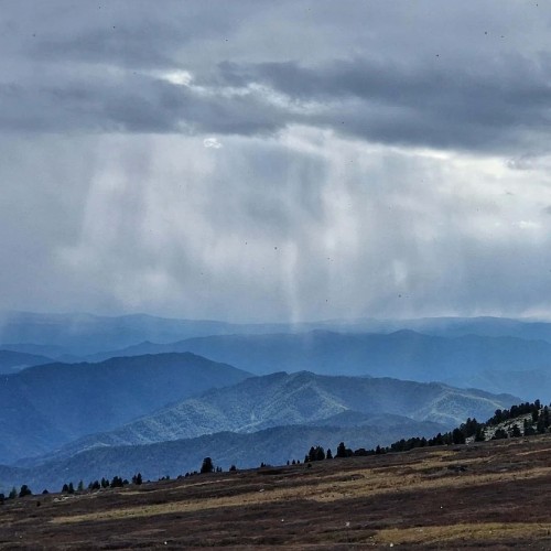 Верхом по Алтаю: конный тур для новичков с палатками (всё включено)