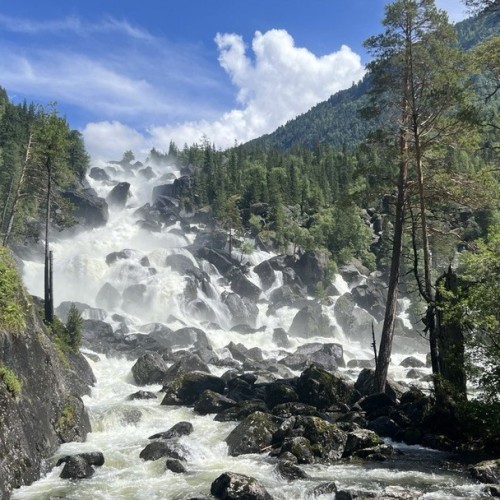 Алтайские тропы: красота природы с комфортом