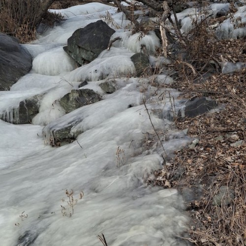 Индивидуальное путешествие по Алтаю: исследуем край на джипе