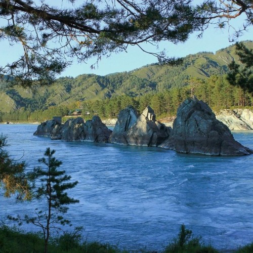 Путешествие в Чемал: открыть природу Горного Алтая