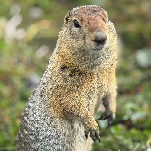 Там с коптера видны вулканы: экспедиция по Камчатке с выходом в море