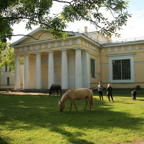 Кинематографичный Васильевский