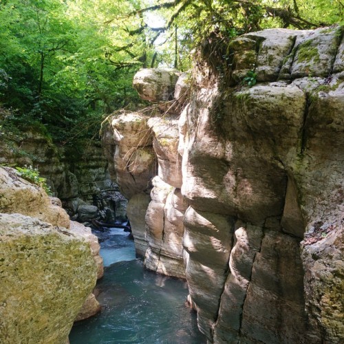 Лёгкий треккинг в субтропиках с проживанием в гостинице в Адлере