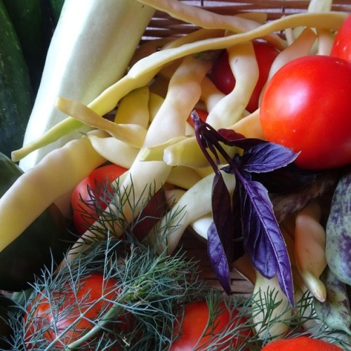 Женское счастье: отдых, правильное питание и проживание с видом на горы