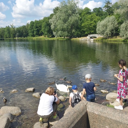 Прогулка по Гатчине: изумительные парки и Старый город