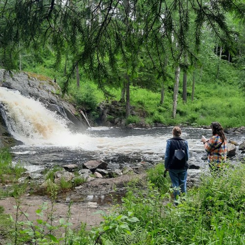 Популярная Карелия: топовые места и отдых в глэмпинге на берегу Ладоги
