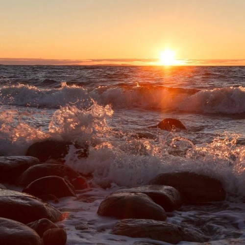 Путешествие на Соловки: погружение в историю, прогулки на катере, лодке и пешком