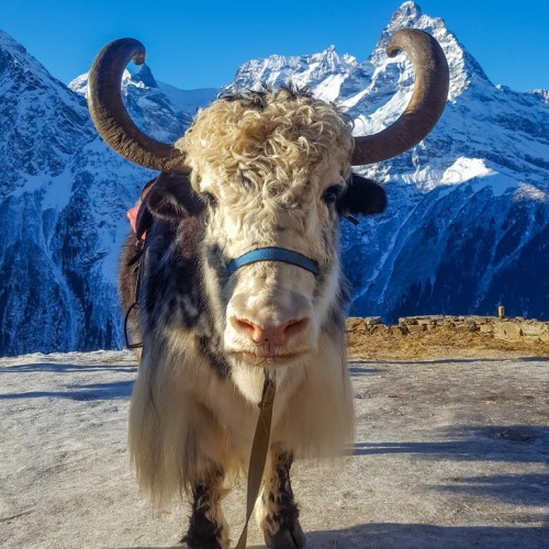 На поезде к жемчужинам Кавказа: города, горы, кухня, традиции 5 республик