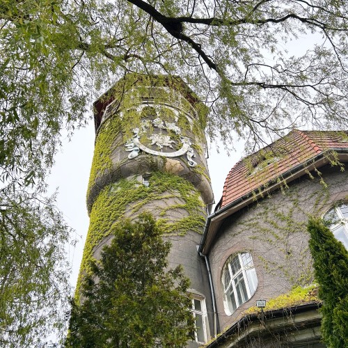 Насыщенный трип по Калининграду: дегустации, необычные маршруты, органный концерт и рыцарский турнир