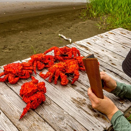 Путешествие на юг Курил: бухты, пляжи и мысы острова Шикотан