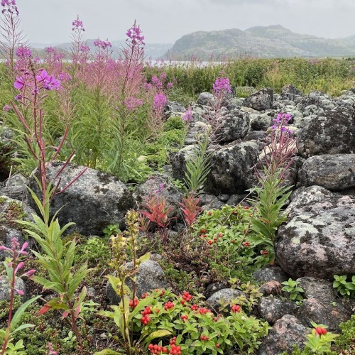 Териберка без Левиафана: пронзительная самобытность и лаконичные пейзажи