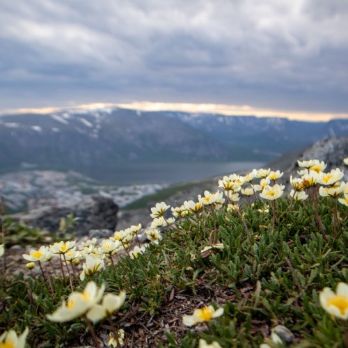 Горы и водопады Севера: тур на Кольский полуостров в мини-группе