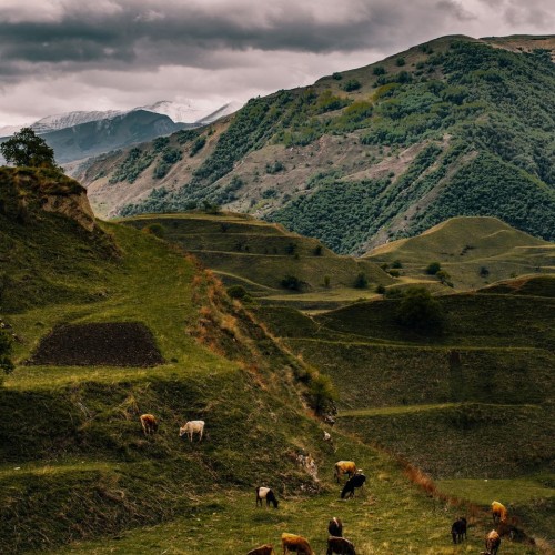 В Дагестан за приключениями, релаксом и природными чудесами (с аэросъёмкой)