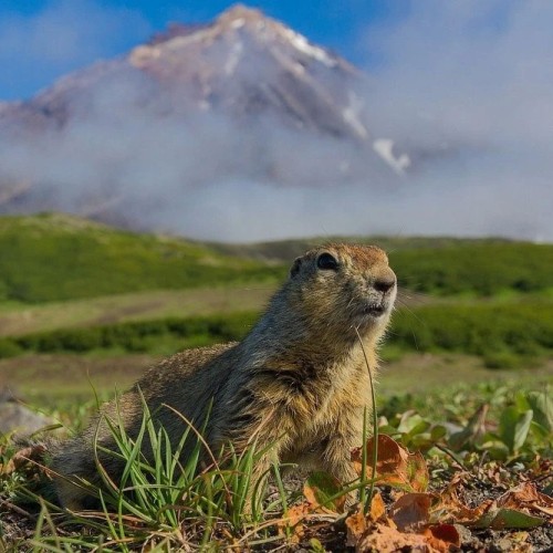 На Камчатке — вкусно есть: гастротур с рыбалкой и крабовой вечеринкой у океана