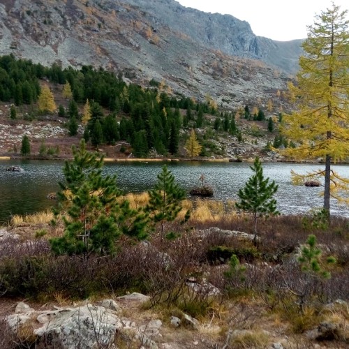 Северные отроги Алтая