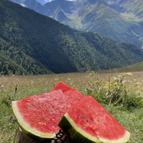 Зов гор: индивидуальное путешествие по Дагестану с подъёмом на Богосский хребет