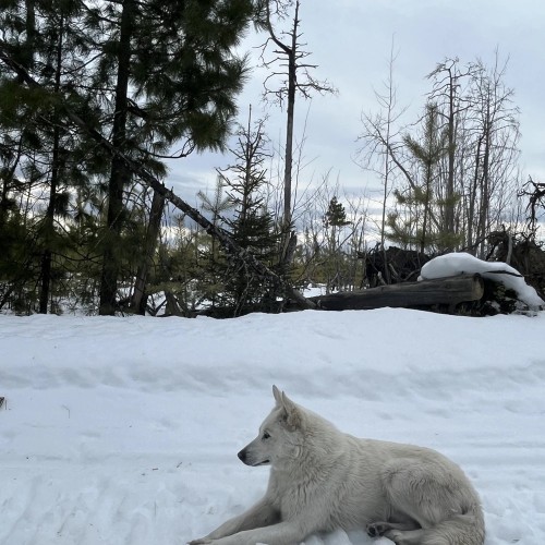 В самое сердце Северного Урала: путешествие «всё включено» на плато Маньпупунёр