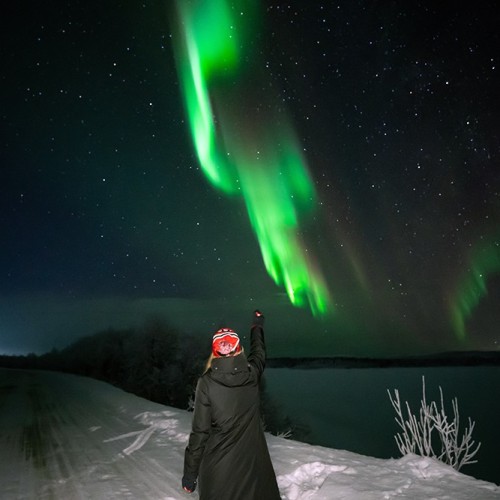 Экспресс-тур по Арктике в мини-группе: Териберка, северное сияние, гастрономия, хаски и олени