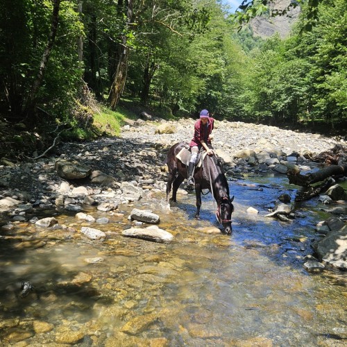 На лошадях по предгорьям Сочи: прогулки для новичков и опытных всадников