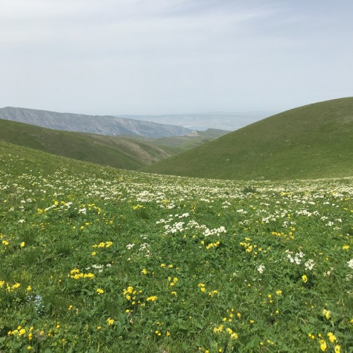 Главный Сулакский каньон. По следам Дюма