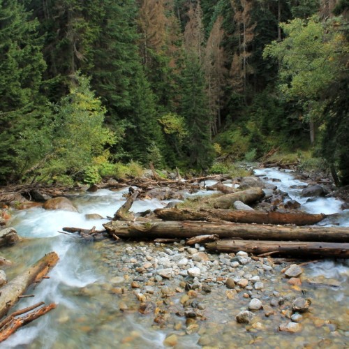 В Домбай всей семьёй: тур по природным красотам с аниматором и лёгкими прогулками в горах