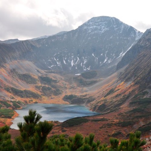 В объятиях Камчатки: лёгкое и комфортное знакомство