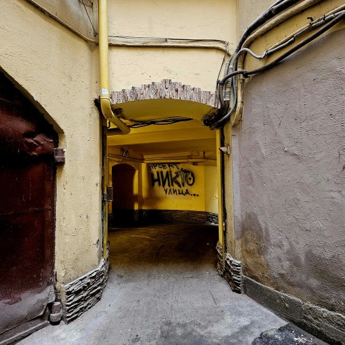 Увидеть не-Невский