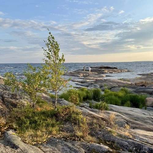 Популярная Карелия: топовые места и отдых в глэмпинге на берегу Ладоги